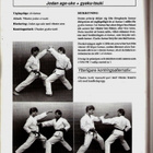 Andersson: Karate Kumite 1 (på svenska/ruotsinkielinen) - pikkukuva 2