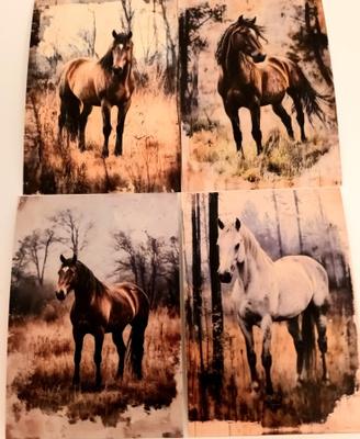 Postikortit HEVOSET / 4 kpl -setti