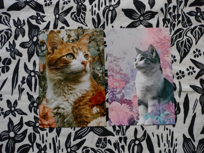 ~Kissa kortti~ 2kpl