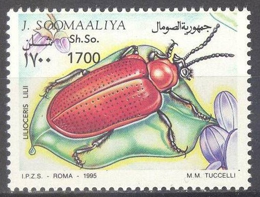 (SA0021) SOMALIA, 1995 (Beetle). Mi # 542 II. MNH**