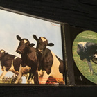 Pink Floyd Atom heart mother RM cd Eu - pikkukuva 2