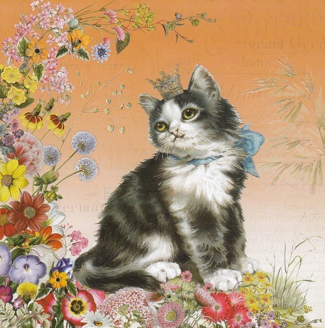 Barbara Behr: Kissa (neliökortti)