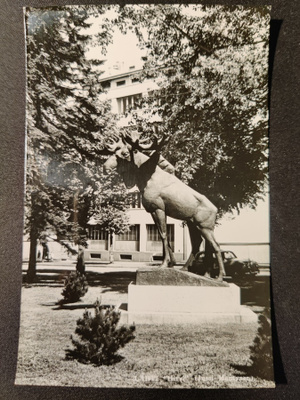 VANHA Postikortti Lahti 1950-l Alkup.Mallikappale