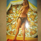 neljä pin-up postikorttia - pikkukuva 5