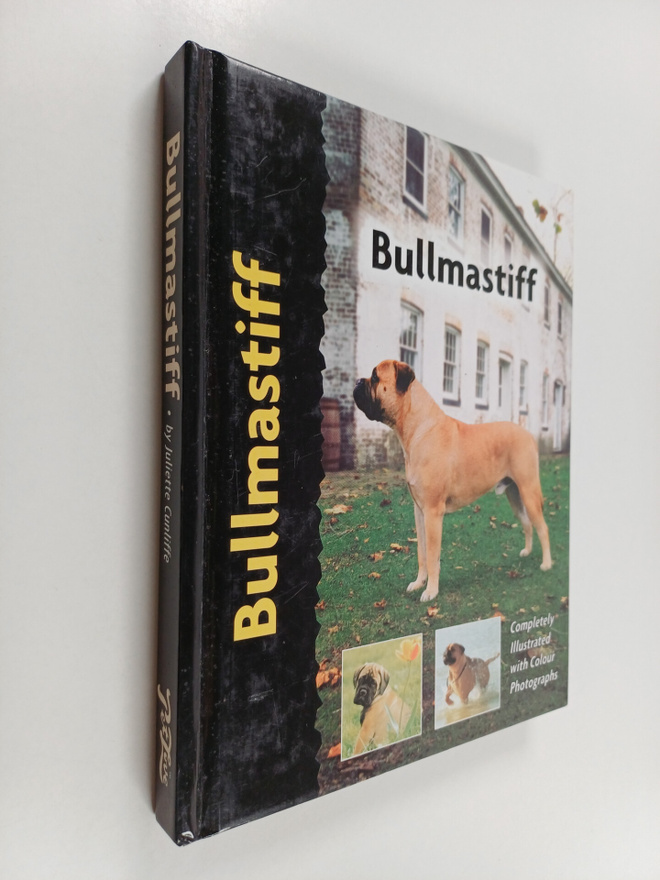 Juliette Cunliffe : Bull Mastiff