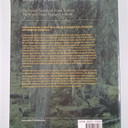 Eeva Korpilahti : Silva fennica vol. 36, 2002 : disturban... - pikkukuva 2