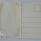 Kaarina Kaila 1981: Vanamotyttö,  kulkenut käsipostissa - pikkukuva 2