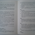   A Dictionary of Everyday Idioms englannin kielen opas - pikkukuva 4