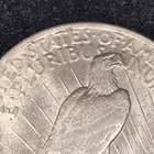 USA 1923 Peace dollar - pikkukuva 5