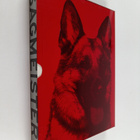Peter Hall : Sagmeister : made you look - pikkukuva 1