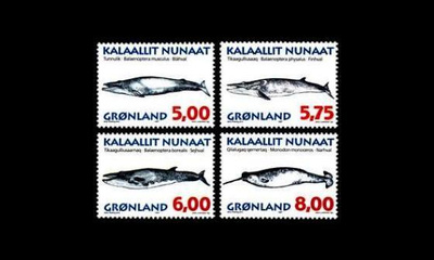 Grönlanti 305-8y ** Valaita II y-paperi (1997)