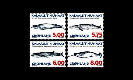 Grönlanti 305-8y ** Valaita II y-paperi (1997)