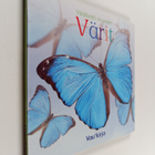 Virikkeitä vauvalle! : värit - pikkukuva 1