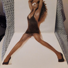 TINA TURNER - FOREIGN AFFAIR LP - pikkukuva 3