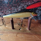 Rapala Floating Finland 6cm TR - pikkukuva 1