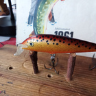 Rapala Team Esko 7cm vaappu väri : BRF - pikkukuva 2