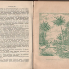 Kraepelin, Karl: Luonnontiede kodissa, Holm 1900, sid., K3 - pikkukuva 3