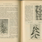 Tapio Suomen metsänhoitoyhdistys Tapion aikakauskirja v.1913 - pikkukuva 2