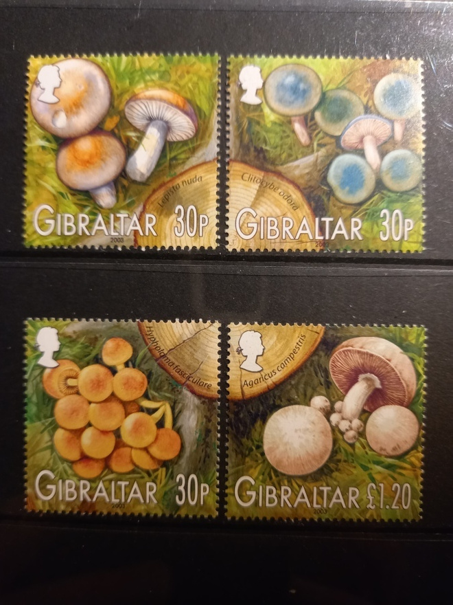 SIENET sieniaiheinen sarja GIBRALTAR 2003 **