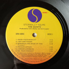 The Saints – Eternally Yours LP (1978 US Orig.) - pikkukuva 3