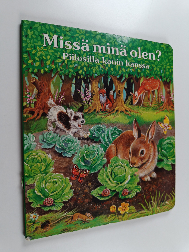 Missä minä olen? : piilosilla kanin kanssa