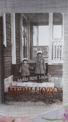 Aila Meriluoto: Mekko meni taululle