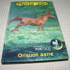 Merja Jalo Orisuon aarre - pikkukuva 1