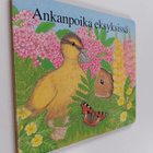 Debora Burr : Ankanpoika eksyksissä - pikkukuva 1