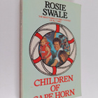 Rosie Swale : Children of cape horn - pikkukuva 1