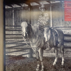 IAN TYSON :: IAN TYSON :: VINYYLI ALBUM LP US-1984 !! - pikkukuva 2
