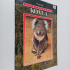 Australian's koala - pikkukuva 1