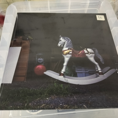 STOLEN KIDNEYS - Melankolia LP
