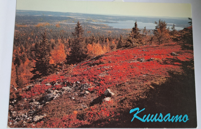 Kuusamo, ruskamaisema Rukalla, kulkematon