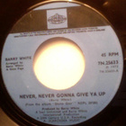 BARRY WHITE  ::  NEVER, NEVER GONNA GIVE YA UP : VINYYLI  7" - pikkukuva 2