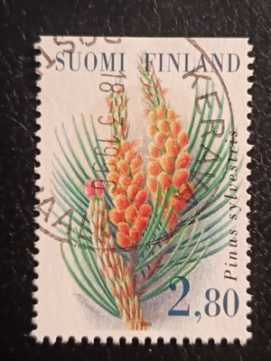 -95 Metsä