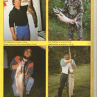 Urheilukalastus n:o 5 1988 Hauen sukulaiset. Ahvenanmaa. - pikkukuva 3