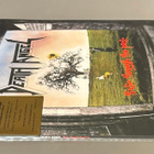 DEATH ANGEL: Fromic Through The Park - 2LP, LTD, uusi - pikkukuva 3