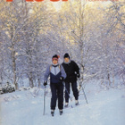Koti n:o 2 1986 Maatilanemäntälinja. Käsityövinkki. Tilakäyn - pikkukuva 1