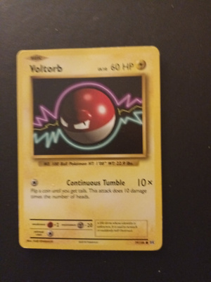 Voltorb #39 Pokemon Evolutions card