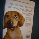 David Alderton: Koirakieltä (1.p.2012) Sis.postikulut - pikkukuva 2
