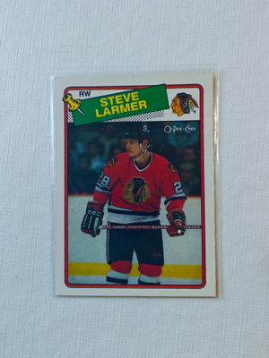88-89 Opc - Steve Larmer