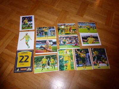 12 kpl Teemu Pukki Norwich City valokuvia