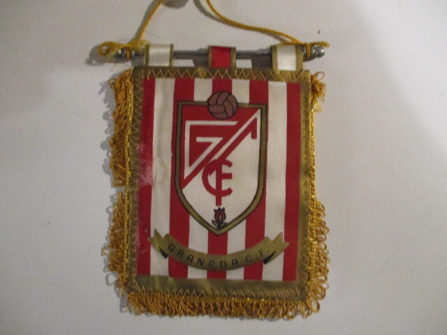VIIRI GRANADA C.F.