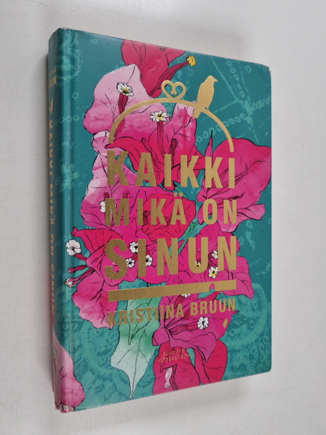Kristiina Bruun : Kaikki mikä on sinun