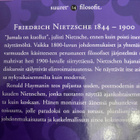RONALD HAYMAN: NIETZSCHE - pikkukuva 2