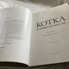 Kotka Ilmojen Kuningas - pikkukuva 4