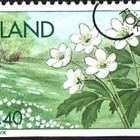 Åland 1994 ÅV 5 Kevätkukkia EP leima LaPe 122 - pikkukuva 1