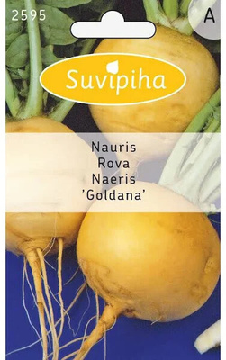 Nauris "GOLDANA"  siemenet #