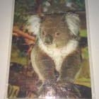 KOALA PALAPELI - pikkukuva 1