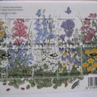 Suomi 1994 ketokukkia pienoisarkki FDC-leimalla Oulu - pikkukuva 2